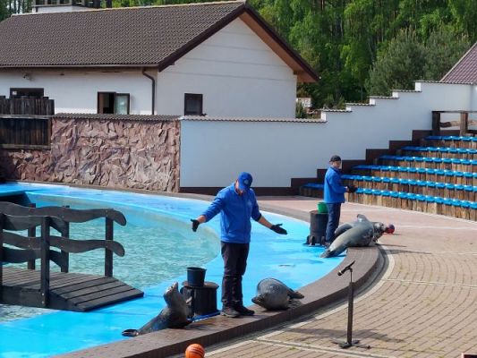 Grafika #40: 25.05.2022 Wycieczka do Sea Parku w Sarbsku cz. I