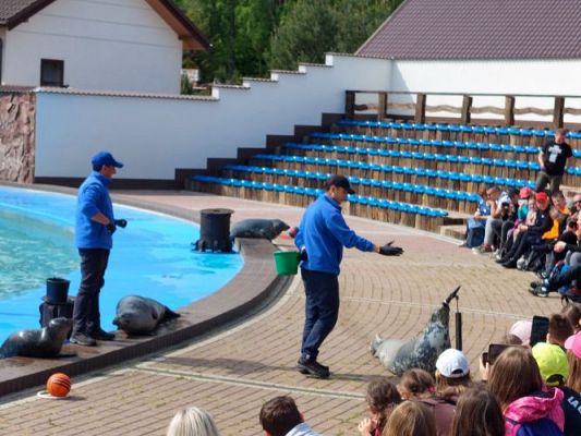 Grafika #41: 25.05.2022 Wycieczka do Sea Parku w Sarbsku cz. I