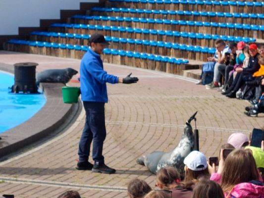 Grafika #42: 25.05.2022 Wycieczka do Sea Parku w Sarbsku cz. I