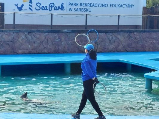 Grafika #43: 25.05.2022 Wycieczka do Sea Parku w Sarbsku cz. I