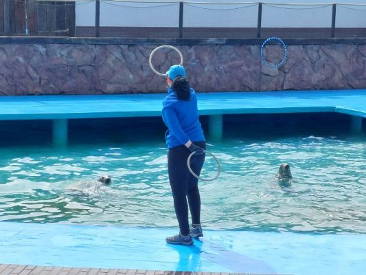 Grafika #44: 25.05.2022 Wycieczka do Sea Parku w Sarbsku cz. I