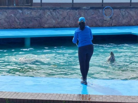 Grafika #45: 25.05.2022 Wycieczka do Sea Parku w Sarbsku cz. I