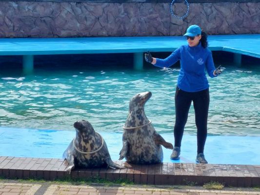 Grafika #46: 25.05.2022 Wycieczka do Sea Parku w Sarbsku cz. I