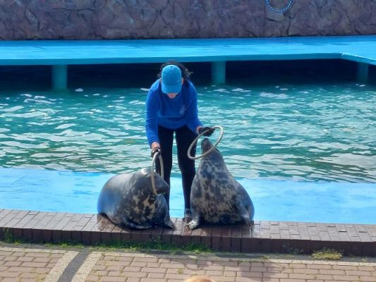 Grafika #47: 25.05.2022 Wycieczka do Sea Parku w Sarbsku cz. I