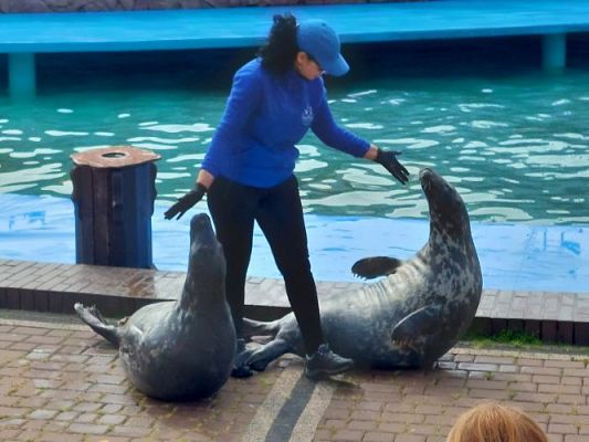 Grafika #49: 25.05.2022 Wycieczka do Sea Parku w Sarbsku cz. I