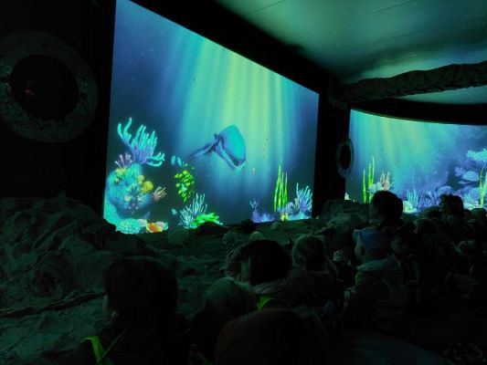 Grafika #66: 25.05.2022 Wycieczka do Sea Parku w Sarbsku cz. I