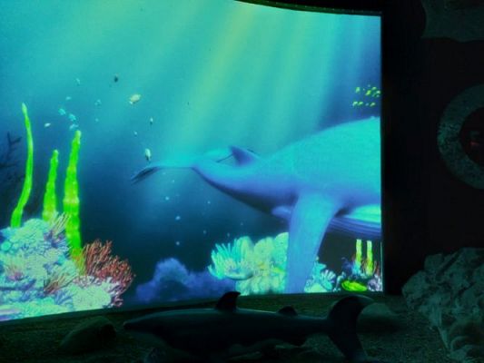 Grafika #67: 25.05.2022 Wycieczka do Sea Parku w Sarbsku cz. I