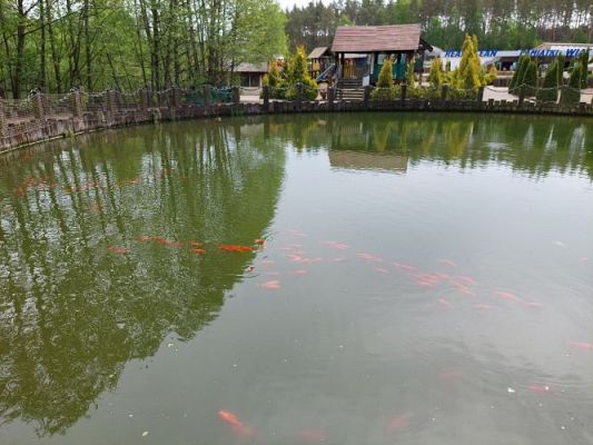 Grafika #75: 25.05.2022 Wycieczka do Sea Parku w Sarbsku cz. I