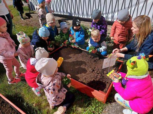 Grafika #3: 22.04.2022 Zakładamy przedszkolny ogródek