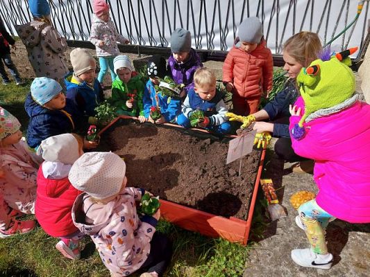 Grafika #4: 22.04.2022 Zakładamy przedszkolny ogródek