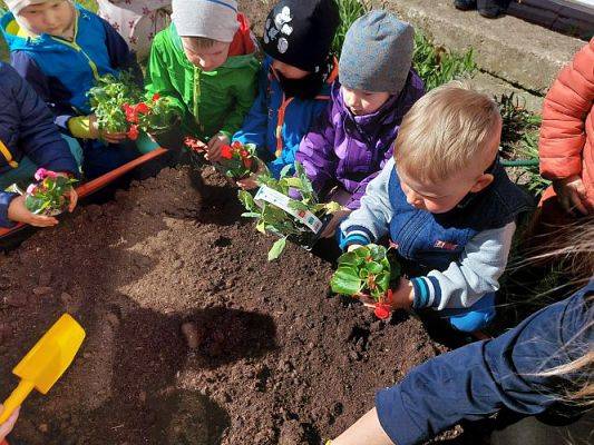 Grafika #5: 22.04.2022 Zakładamy przedszkolny ogródek