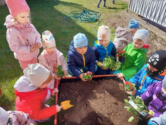 Grafika #6: 22.04.2022 Zakładamy przedszkolny ogródek