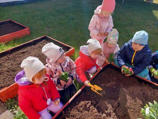 Grafika #7: 22.04.2022 Zakładamy przedszkolny ogródek