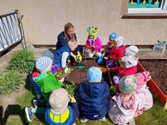Grafika #8: 22.04.2022 Zakładamy przedszkolny ogródek