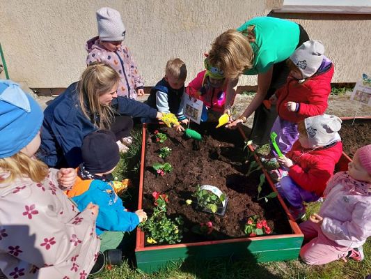 Grafika #14: 22.04.2022 Zakładamy przedszkolny ogródek