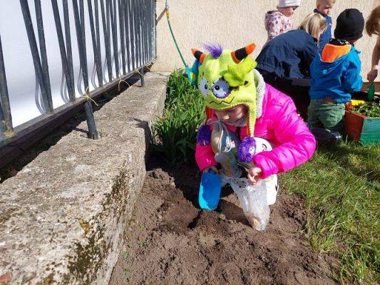 Grafika #16: 22.04.2022 Zakładamy przedszkolny ogródek