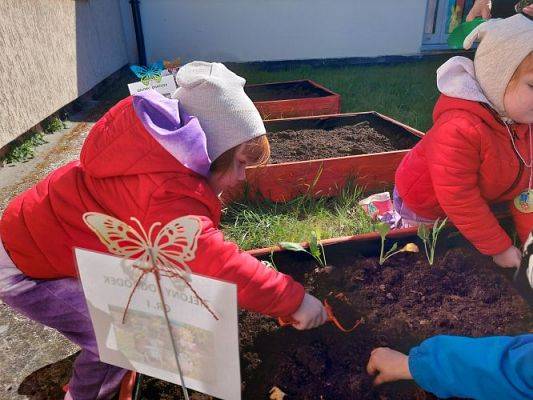 Grafika #17: 22.04.2022 Zakładamy przedszkolny ogródek