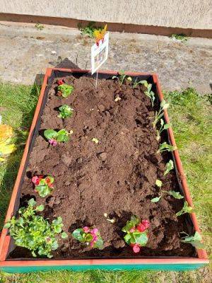 Grafika #18: 22.04.2022 Zakładamy przedszkolny ogródek