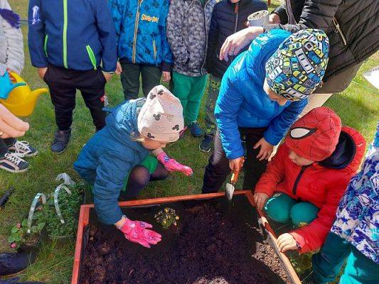 Grafika #23: 22.04.2022 Zakładamy przedszkolny ogródek