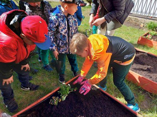 Grafika #25: 22.04.2022 Zakładamy przedszkolny ogródek