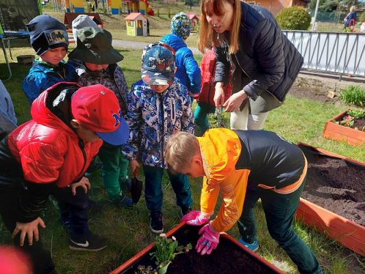 Grafika #26: 22.04.2022 Zakładamy przedszkolny ogródek