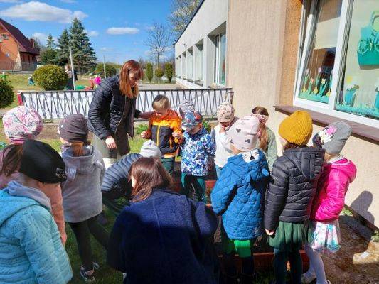 Grafika #27: 22.04.2022 Zakładamy przedszkolny ogródek
