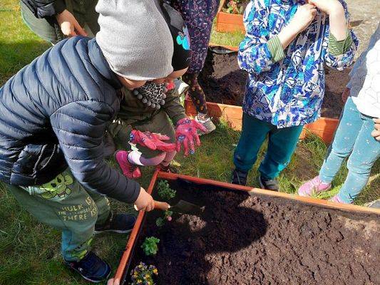 Grafika #28: 22.04.2022 Zakładamy przedszkolny ogródek