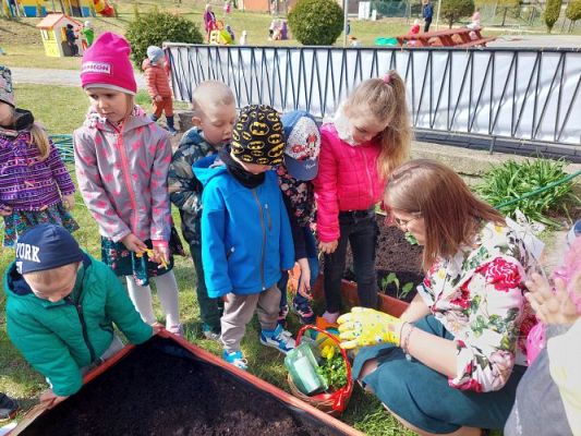 Grafika #31: 22.04.2022 Zakładamy przedszkolny ogródek