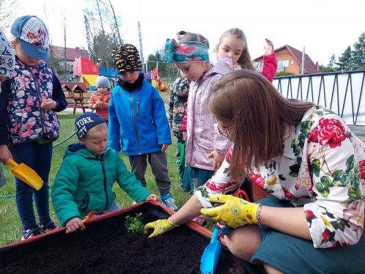 Grafika #33: 22.04.2022 Zakładamy przedszkolny ogródek
