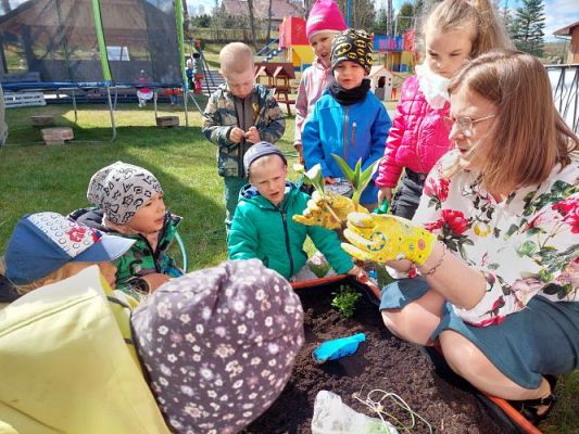 Grafika #37: 22.04.2022 Zakładamy przedszkolny ogródek
