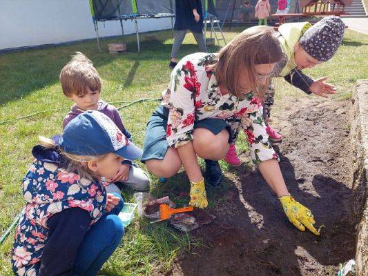 Grafika #45: 22.04.2022 Zakładamy przedszkolny ogródek