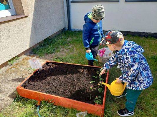 Grafika #46: 22.04.2022 Zakładamy przedszkolny ogródek
