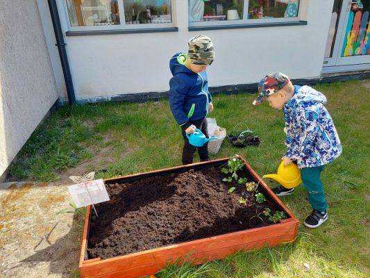 Grafika #47: 22.04.2022 Zakładamy przedszkolny ogródek