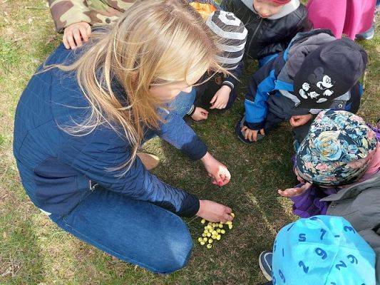 Grafika #44: 13.04.2022 Niespodzianki od Zajączka