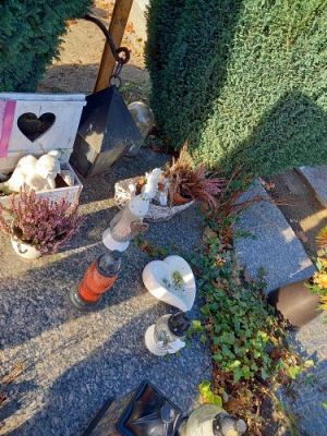 Grafika #3: #SzkołaPamięta