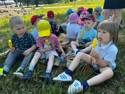 Grafika #0: 07.06.2023 Piknik i sesja zdjęciowa na łące - Grupa I