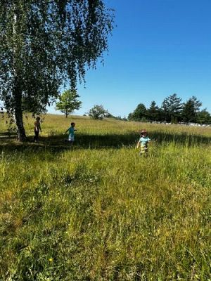 Grafika #6: 07.06.2023 Piknik i sesja zdjęciowa na łące - Grupa I