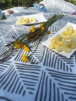 Grafika #22: 07.06.2023 Piknik i sesja zdjęciowa na łące - Grupa I