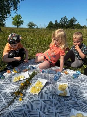 Grafika #34: 07.06.2023 Piknik i sesja zdjęciowa na łące - Grupa I