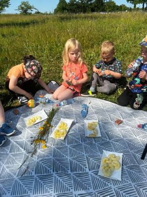 Grafika #48: 07.06.2023 Piknik i sesja zdjęciowa na łące - Grupa I