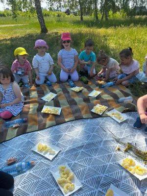 Grafika #49: 07.06.2023 Piknik i sesja zdjęciowa na łące - Grupa I
