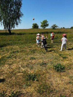 Grafika #58: 07.06.2023 Piknik i sesja zdjęciowa na łące - Grupa I