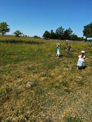 Grafika #69: 07.06.2023 Piknik i sesja zdjęciowa na łące - Grupa I