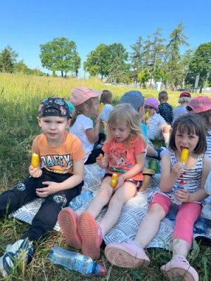 Grafika #71: 07.06.2023 Piknik i sesja zdjęciowa na łące - Grupa I