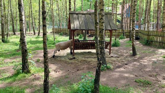 Grafika #6: 18.05.2023 Wycieczka do Doliny Charlotty cz.III