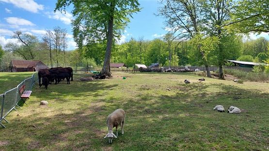 Grafika #7: 18.05.2023 Wycieczka do Doliny Charlotty cz.III