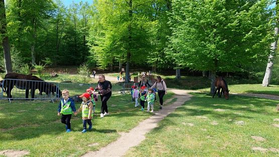 Grafika #8: 18.05.2023 Wycieczka do Doliny Charlotty cz.III