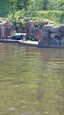 Grafika #17: 18.05.2023 Wycieczka do Doliny Charlotty cz.III