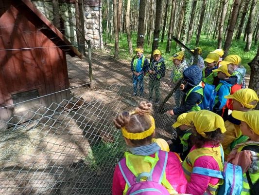 Grafika #18: 18.05.2023 Wycieczka do Doliny Charlotty cz.III