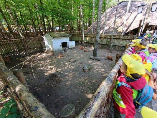 Grafika #19: 18.05.2023 Wycieczka do Doliny Charlotty cz.III